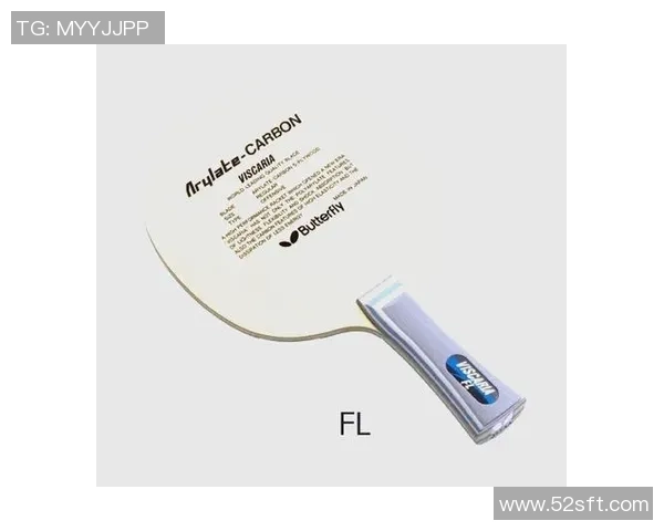 乒乓球装备选购指南球拍推荐与使用技巧分享