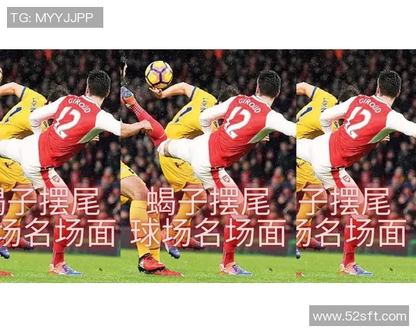 名场面足球的魅力瞬间回顾与经典时刻的深度解析